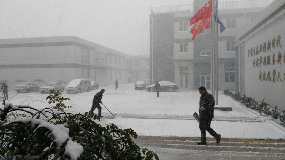 冰雪麗人冰淇淋機